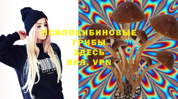 стаф Балахна
